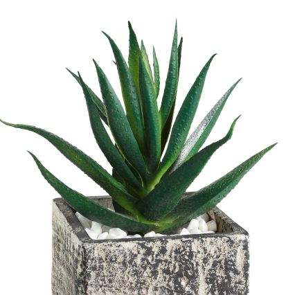 Eglo - Umjetna biljka u tegli za cvijeće 13x9,5 cm sukulent