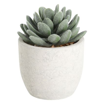 Eglo - Umjetna biljka u saksiji 11x8 cm sukulent