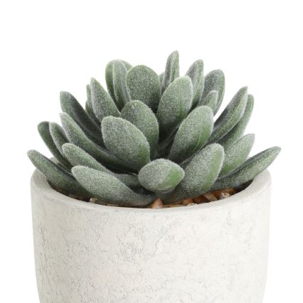 Eglo - Umjetna biljka u tegli za cvijeće 11x8 cm sukulent
