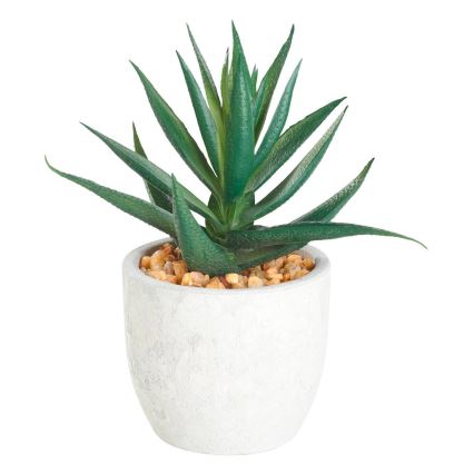 Eglo - Umjetna biljka u tegli za cvijeće 15,5x10 cm sukulent