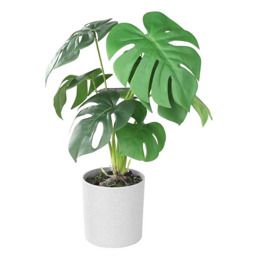 Eglo - Umjetna biljka u tegli za cvijeće 42x30 cm monstera
