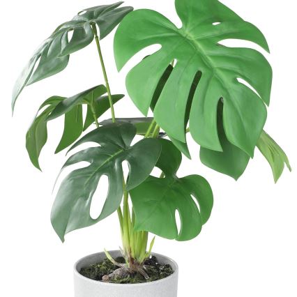 Eglo - Umjetna biljka u tegli za cvijeće 42x30 cm monstera