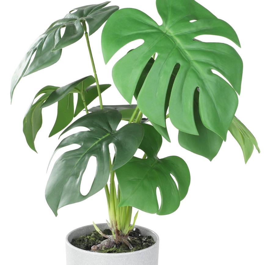Eglo - Umjetna biljka u tegli za cvijeće 42x30 cm monstera