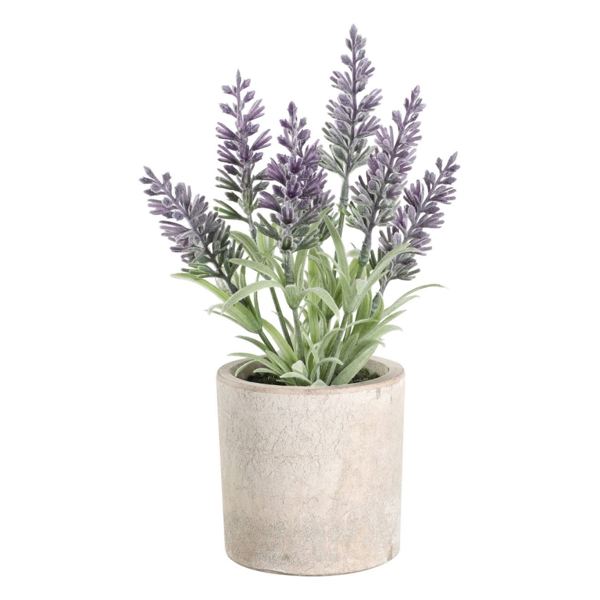 Eglo - Umjetna biljka u saksiji 22x8 cm lavanda