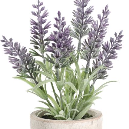 Eglo - Umjetna biljka u tegli za cvijeće 22x8 cm lavanda