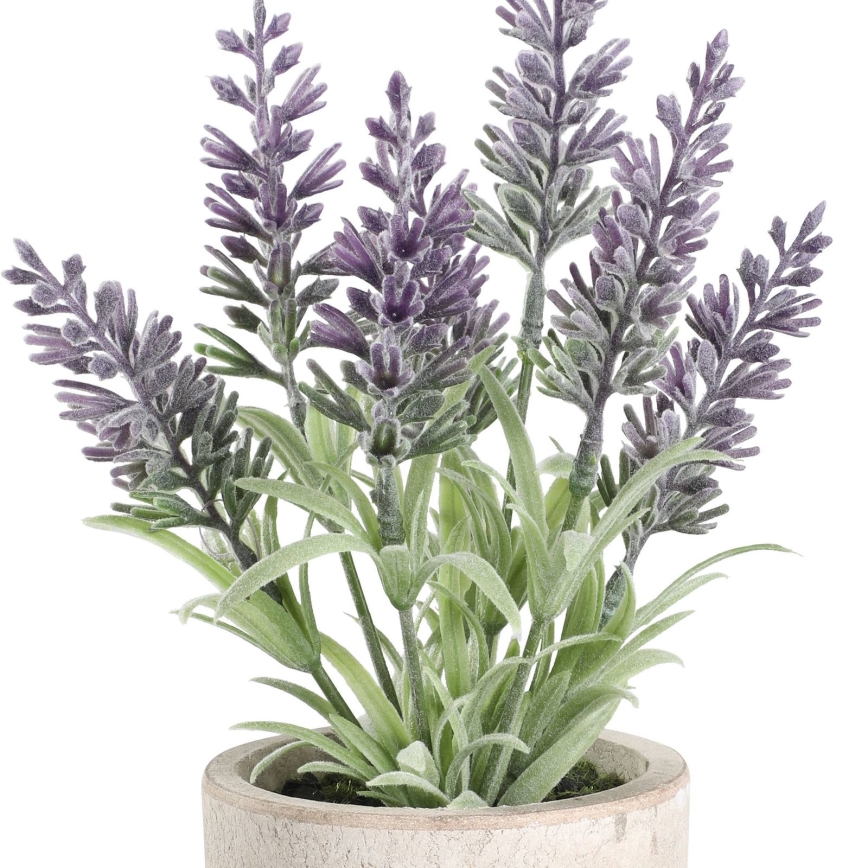 Eglo - Umjetna biljka u tegli za cvijeće 22x8 cm lavanda