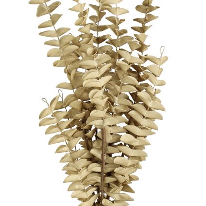 Eglo - Umjetni cvijet 50 cm bež