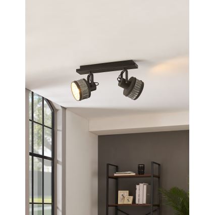 Eglo 43445 - Reflektor TURROCK 2xE27/28W/230V