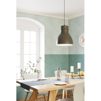 Eglo - Luster na sajli 1xE27/60W/230V siva
