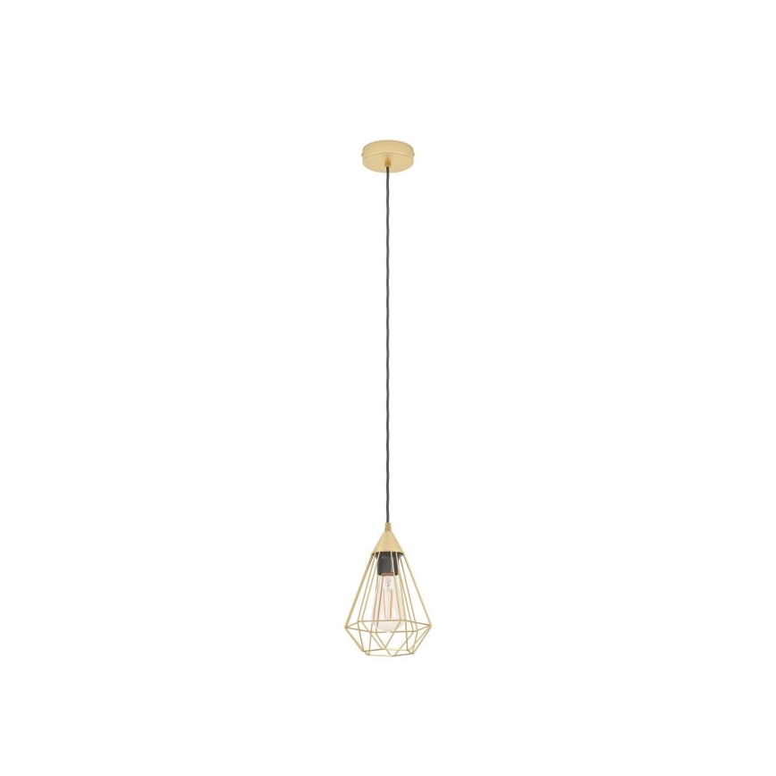 Eglo - Luster na sajli 1xE27/60W/230V pr. 17,5 cm
