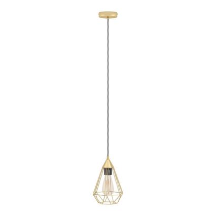Eglo - Luster na sajli 1xE27/60W/230V pr. 17,5 cm