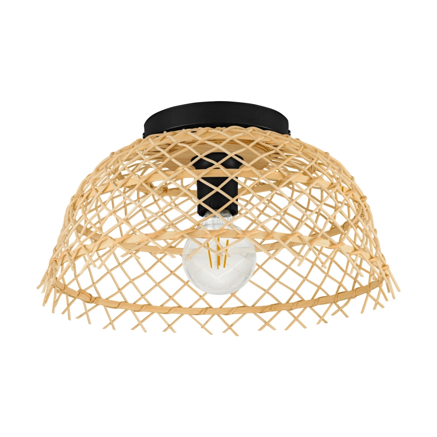 Eglo 43831 - Stropno svjetlo AUSNBY 1xE27/40W/230V