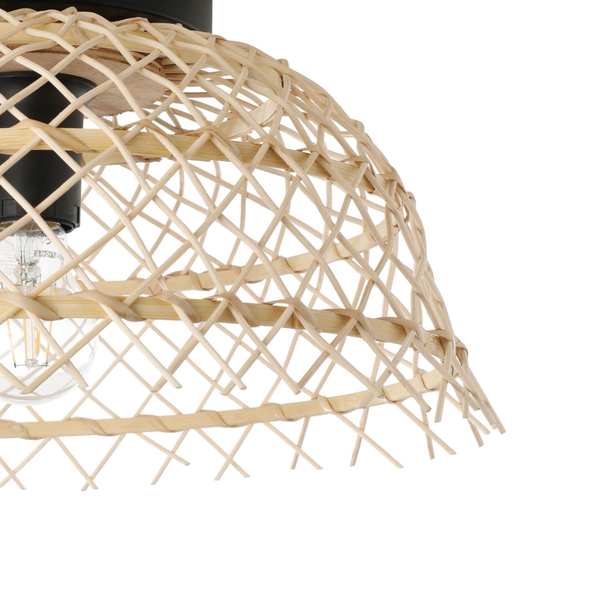 Eglo 43831 - Stropno svjetlo AUSNBY 1xE27/40W/230V