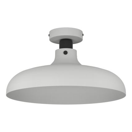 Eglo - Stropna svjetiljka 1xE27/40W/230V