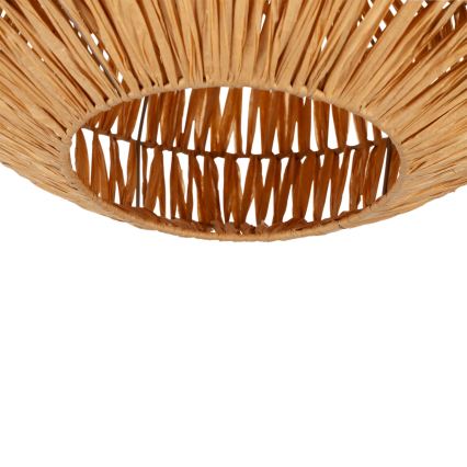 Eglo - Stropna svjetiljka 1xE27/40W/230V smeđa