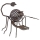 EGLO 47537 - Solarna rasvjeta škorpion 1xLED/0,06W brončana