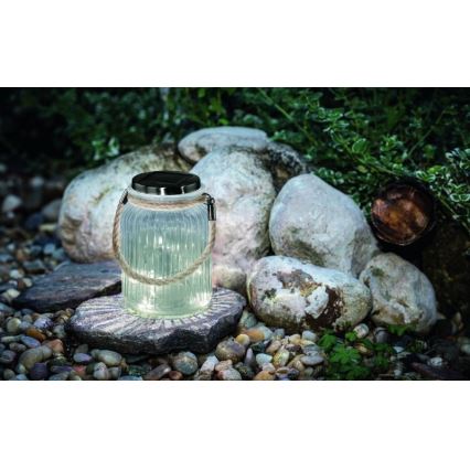Eglo 48567 - Solarna svjetiljka SOLAR LED/1xAA prozirna