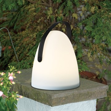 Eglo 48841 - LED Vanjska stolna lampa COLLIRADOS LED/3xAA IP44