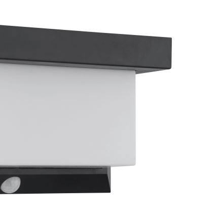 Eglo - LED Solarna zidna svjetiljka sa senzorom LED/3,84W/3,7V 2000 mAh IP44