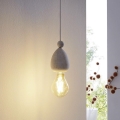 Eglo 49377 - Viseće svjetlo AVOLTRI 1xE27/60W/230V