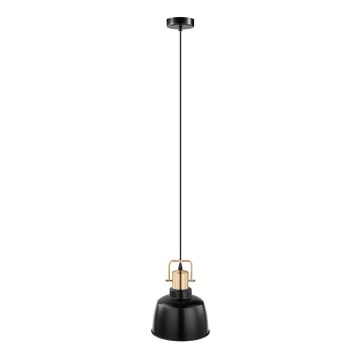 Eglo 49692 - Viseća svjetiljka na sajli BODMIN 1xE27/60W/230V
