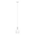 Eglo 62265 - Luster na sajli PASCOA PRO 1xE27/60W/230V 15,6 cm bijela