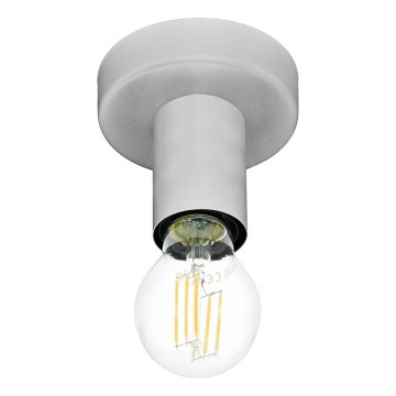 Eglo 64106 - Stropna svjetiljka IGUALA 1xE27/40W/230V siva
