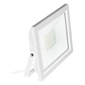 Eglo 64839 - LED Reflektor FILETTI LED/10W/230V 3000K IP65 bijela