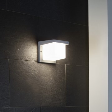 Eglo 65045 - LED Vanjska zidna svjetiljka DESELLA PRO LED/10W/230V IP54 srebrna