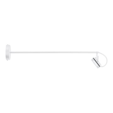 Eglo 66332 - LED Vanjska zidna svjetiljka LIMIDARIO LED/30W/230V 3000K IP44 bijela