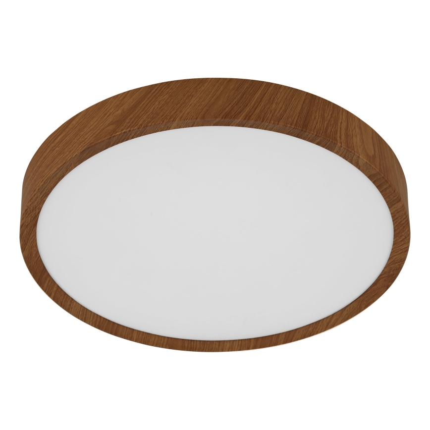 Eglo - LED Stropna svjetiljka LED/14,6W/230V