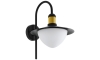 Eglo 79287 - Vanjska zidna svjetiljka SIRMIONE 1xE27/60W/230V IP44