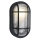 Eglo 88802 - Vanjska zidna svjetiljka ANOLA 1xE27/40W/230V IP44