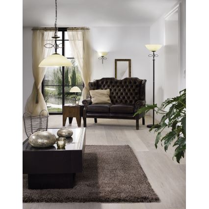 EGLO 89135 - Zidna svjetiljka BELUGA 1xE27/60W antikno smeđa