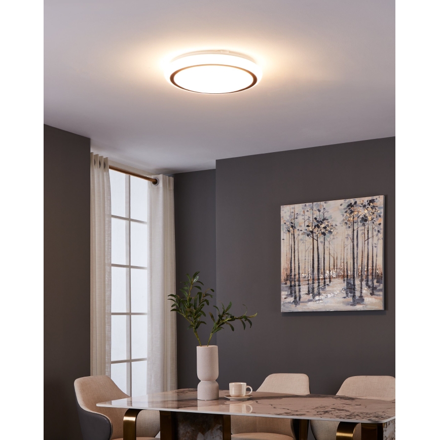 Eglo - LED Stropna svjetiljka LED/14,6W/230V