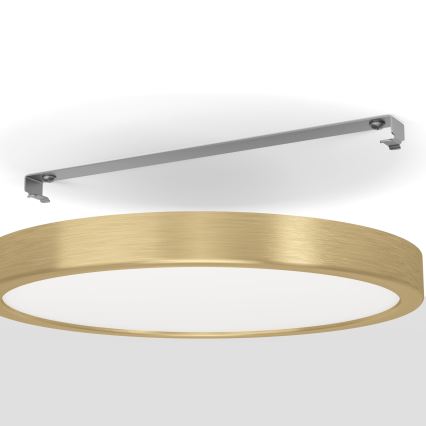Eglo - LED stropna svjetiljka LED/20,5W/230V Ø 28,5 cm Ø 28,5 cm