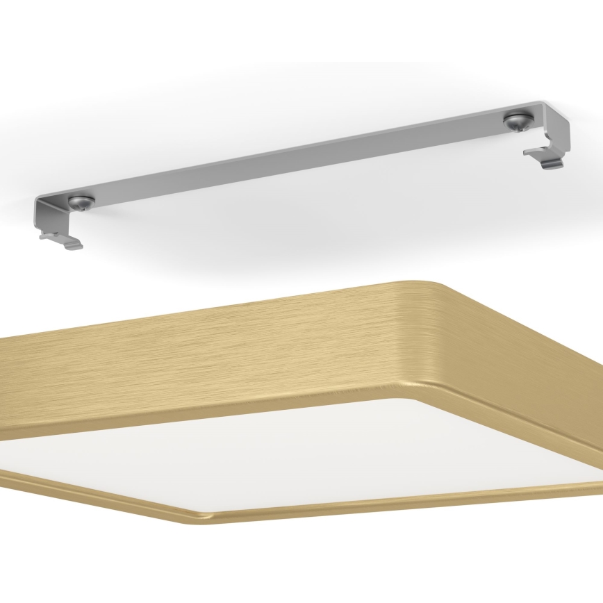 Eglo - LED Stropna svjetiljka LED/17W/230V
