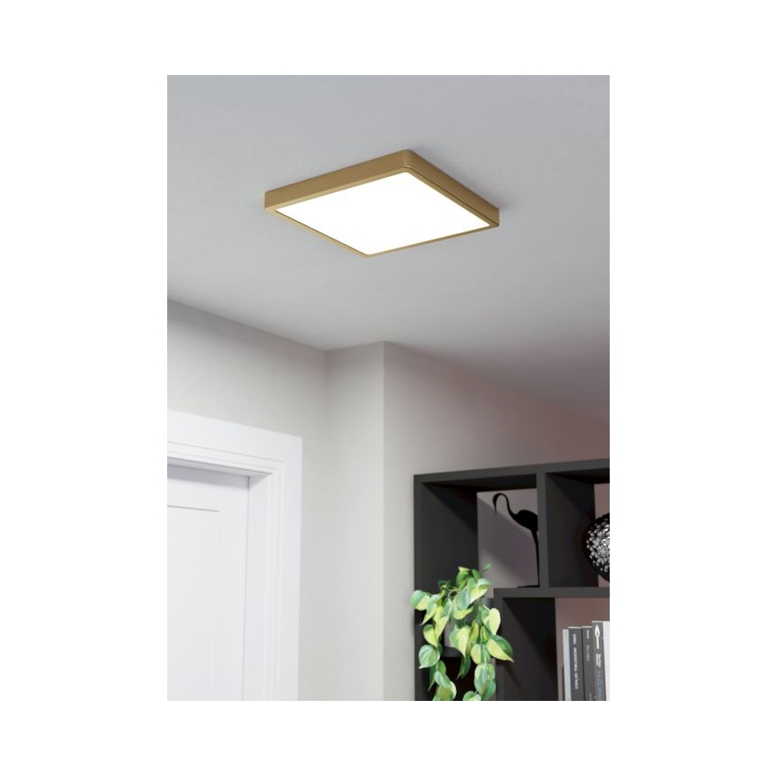 Eglo - LED Stropna svjetiljka LED/20,5W/230V