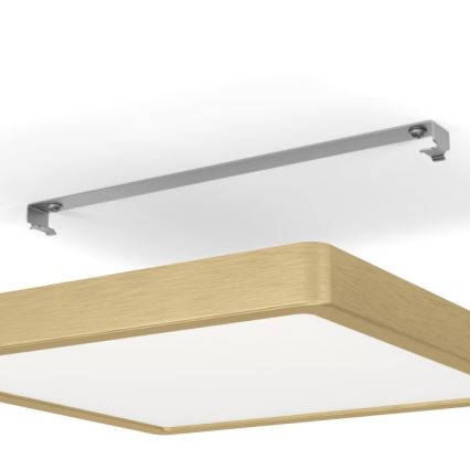 Eglo - LED Stropna svjetiljka LED/20,5W/230V