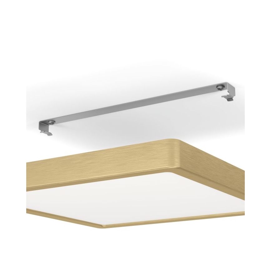 Eglo - LED Stropna svjetiljka LED/20,5W/230V