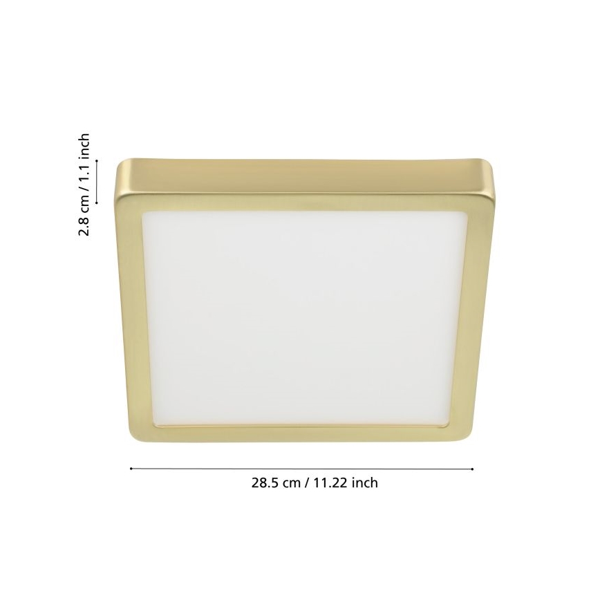 Eglo - LED Stropna svjetiljka LED/20,5W/230V