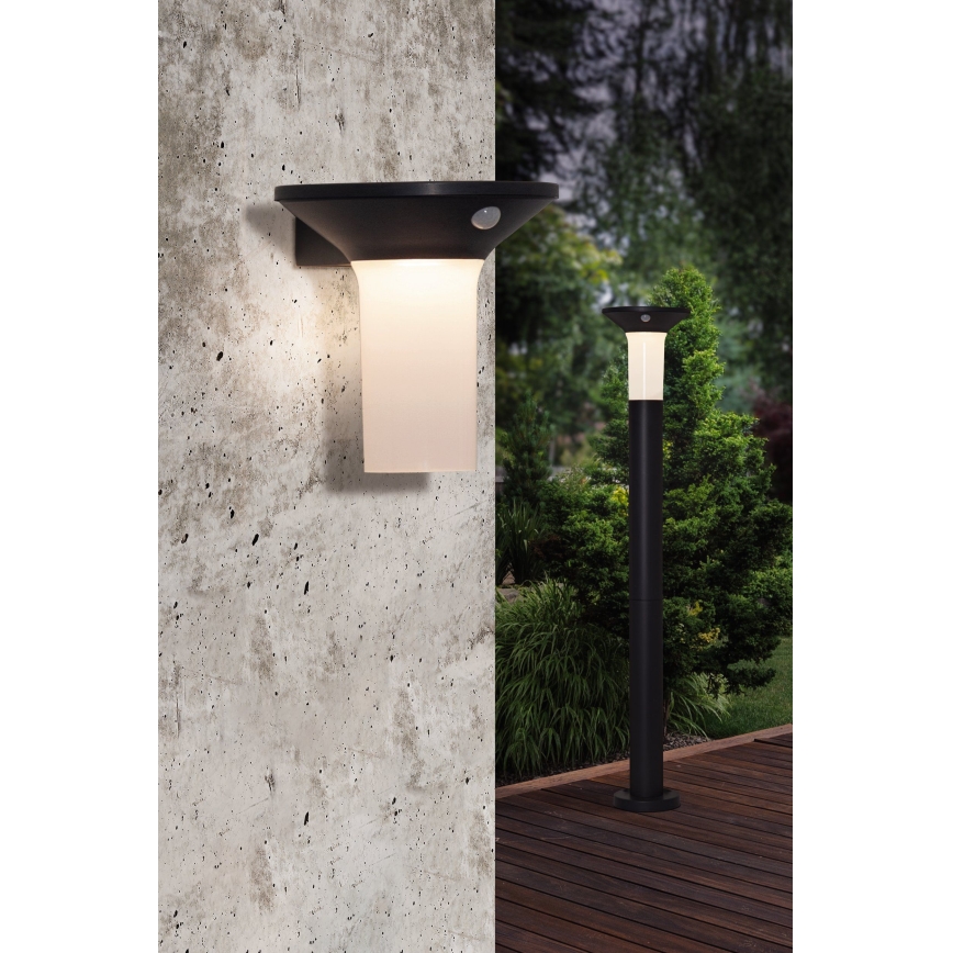 Eglo - LED vanjska solarna svjetiljka s senzorom 6xLED/0,03W/3,7V IP44