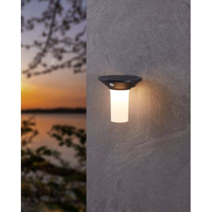 Eglo - LED vanjska solarna svjetiljka s senzorom 6xLED/0,03W/3,7V IP44
