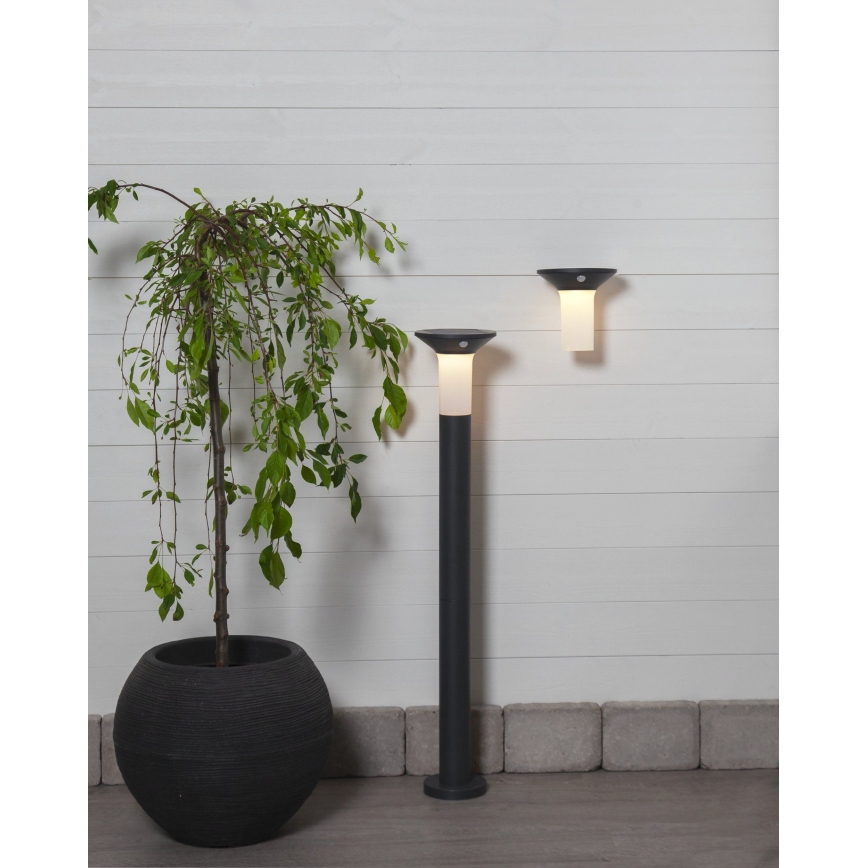 Eglo - LED vanjska solarna svjetiljka s senzorom 6xLED/0,03W/3,7V IP44