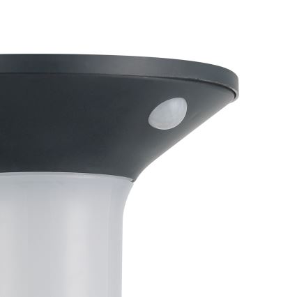 Eglo - LED vanjska solarna svjetiljka s senzorom 6xLED/0,03W/3,7V IP44