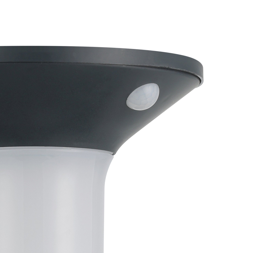 Eglo - LED vanjska solarna svjetiljka s senzorom 6xLED/0,03W/3,7V IP44