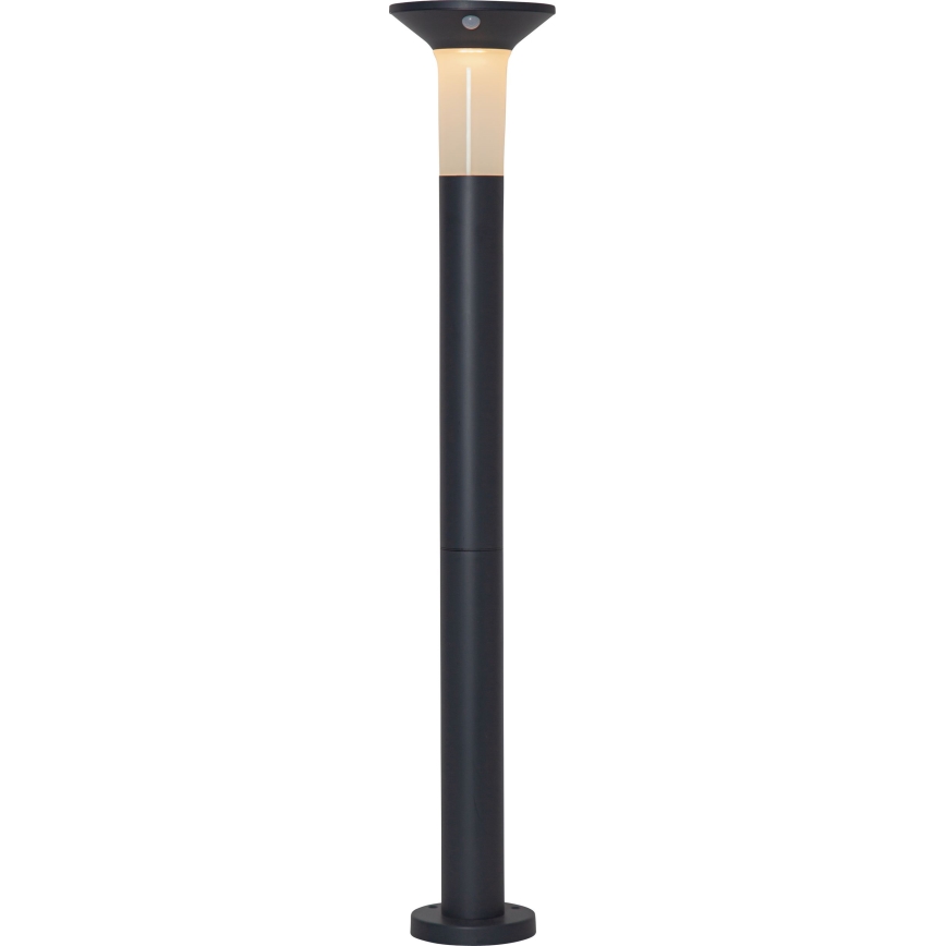 Eglo - LED Vanjska solarna lampa sa senzorom 6xLED/0,03W/3,7V 1500 mAh IP44