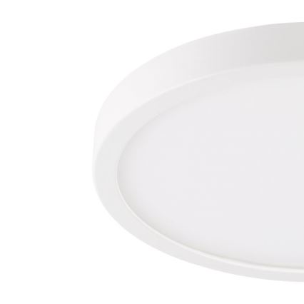 Eglo - LED Stropna svjetiljka za kupaonicu LED/20,5W/230V IP44 bijela