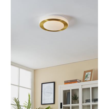 Eglo - LED Stropna svjetiljka za kupaonicu LED/10,8W/230V IP44