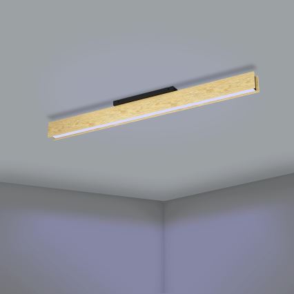 Eglo - LED RGBW Prigušiva stropna svjetiljka LED/35W/230V 2700-6500K